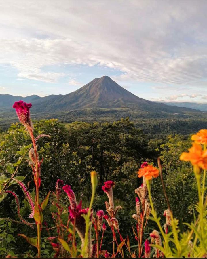 Las Pavitas Cottages La Fortuna Dış mekan fotoğraf